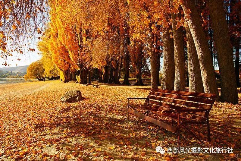 春雨直播app