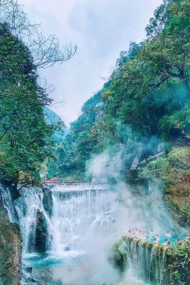 春雨直播app
