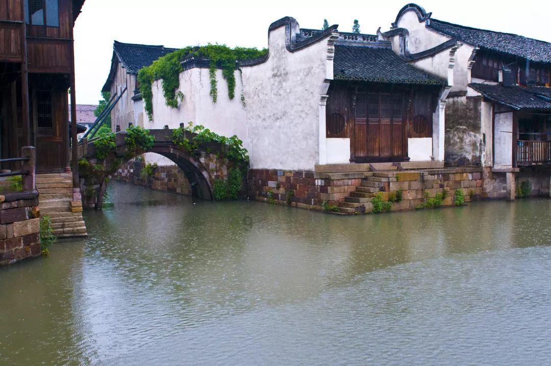 动物帮帮忙保卫家园
